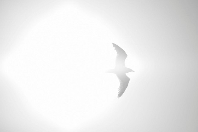 bKNE240720162495 mini